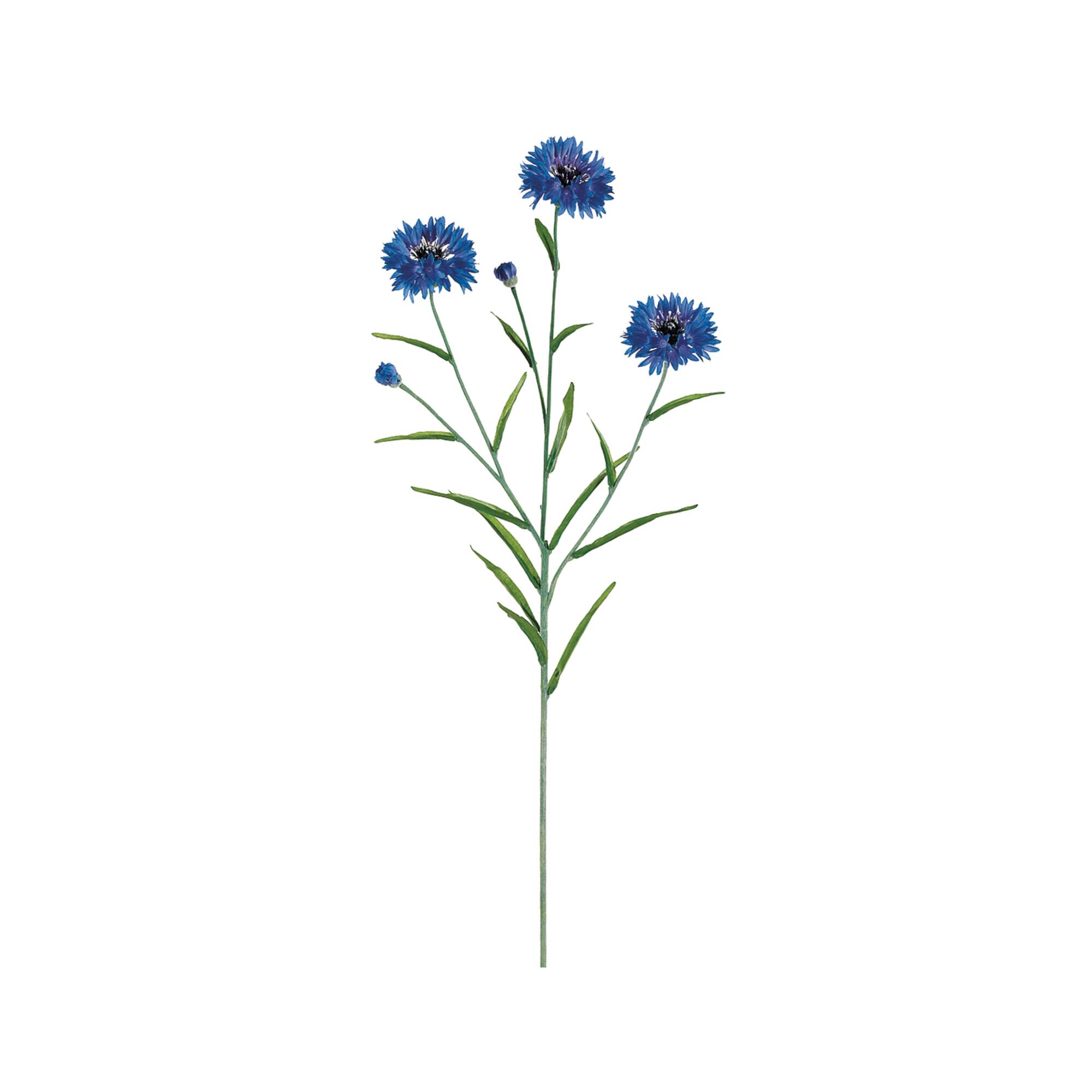 Blue Cornflower Spray